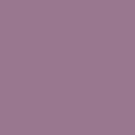 PURPLE パープル ムラサキ 紫