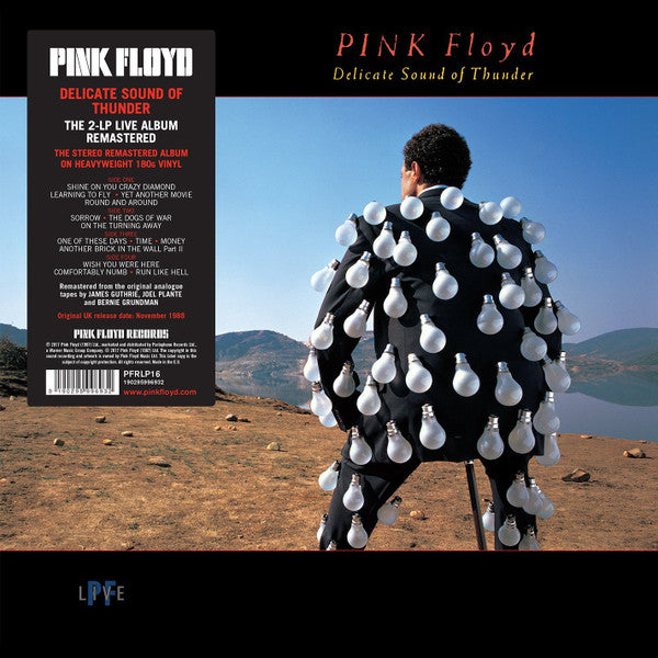 Pink Floyd / Delicate Sound Of Thunder