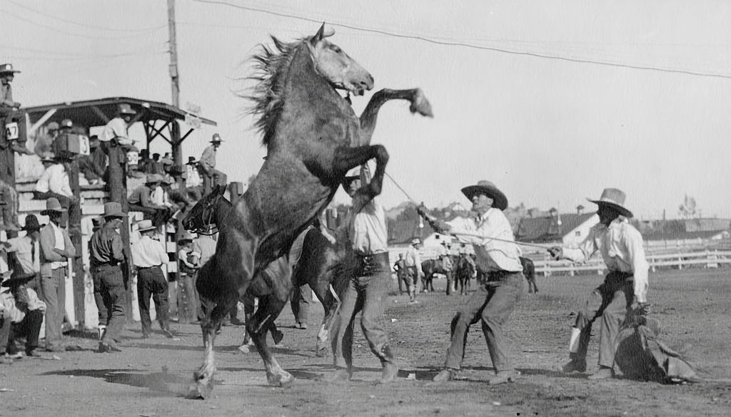 From Ranch Work to Arena Sport The Evolution of Rodeo