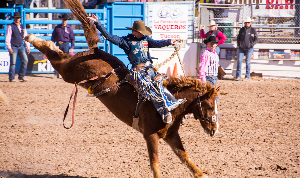 Cowboy riding a horse at a rodeo show