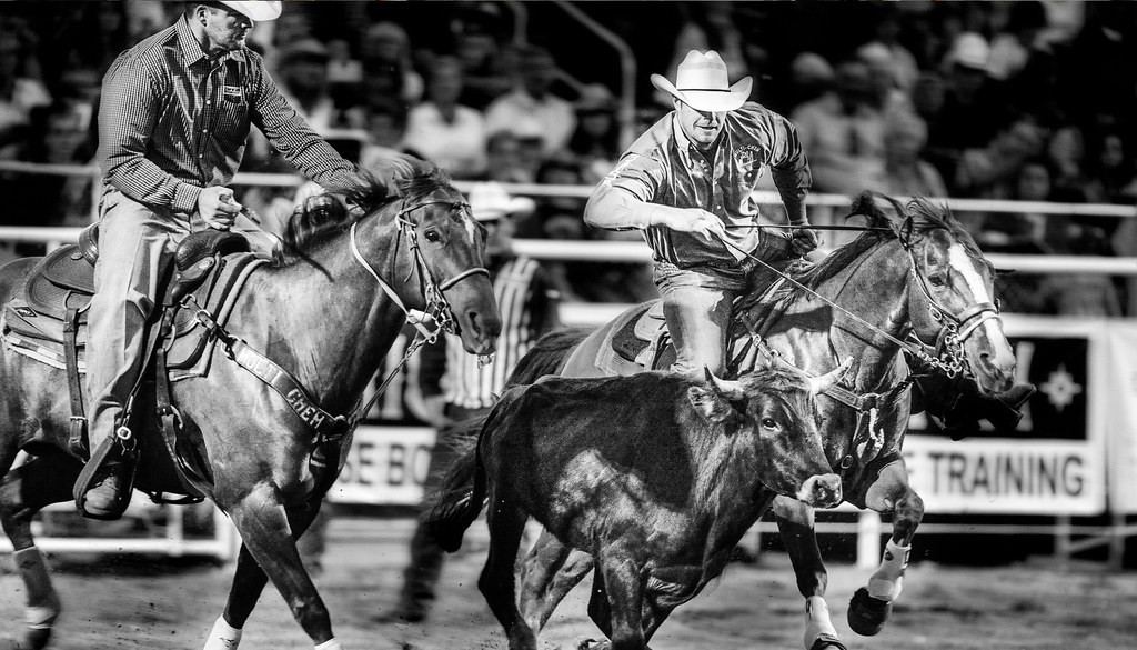 Team Roping: Skillful Coordination and Teamwork