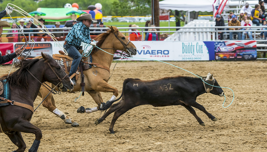 Tie-Down Roping: Quick Reflexes and Steady Hands