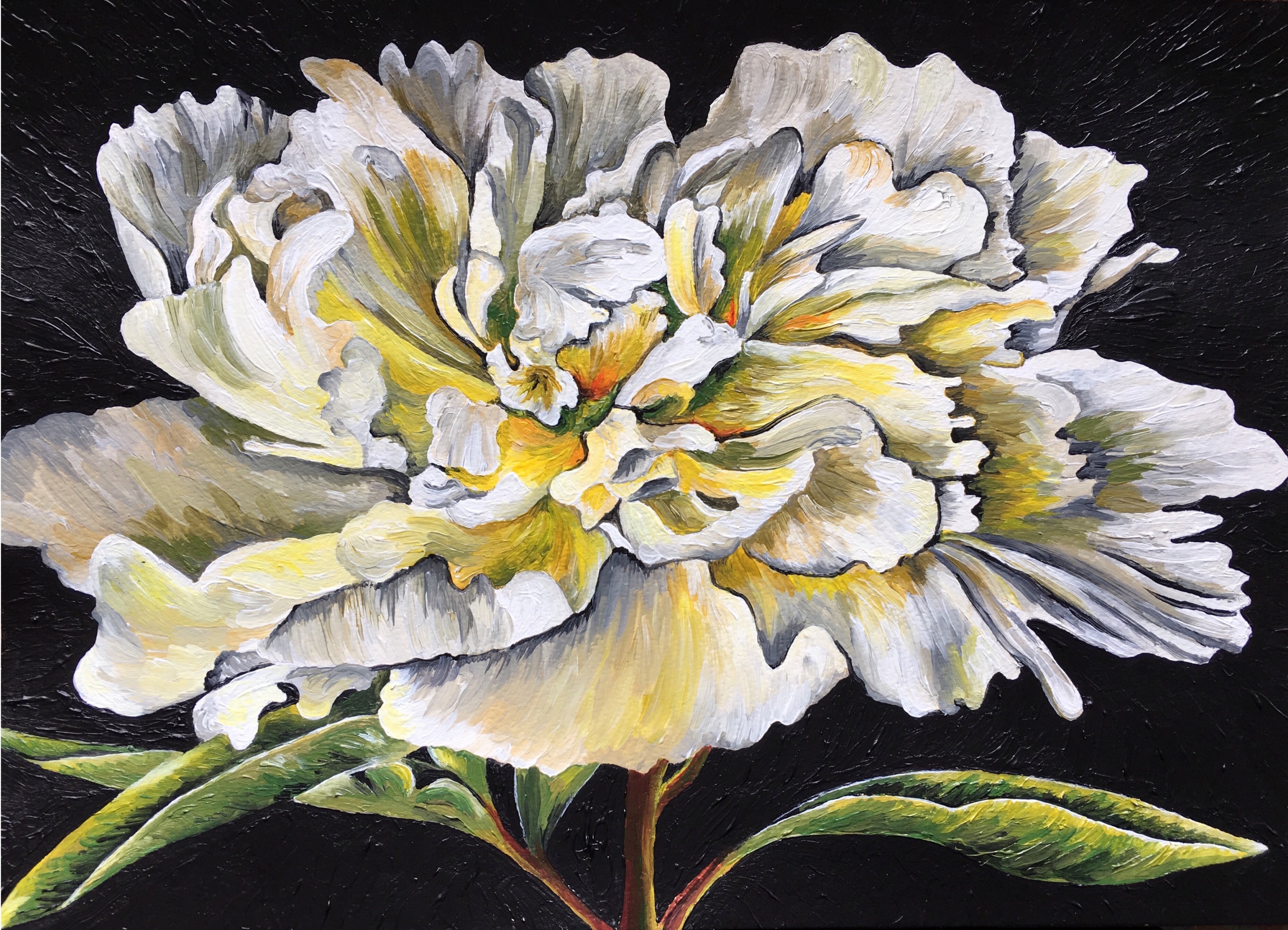 Peony Painting Local Wall Art