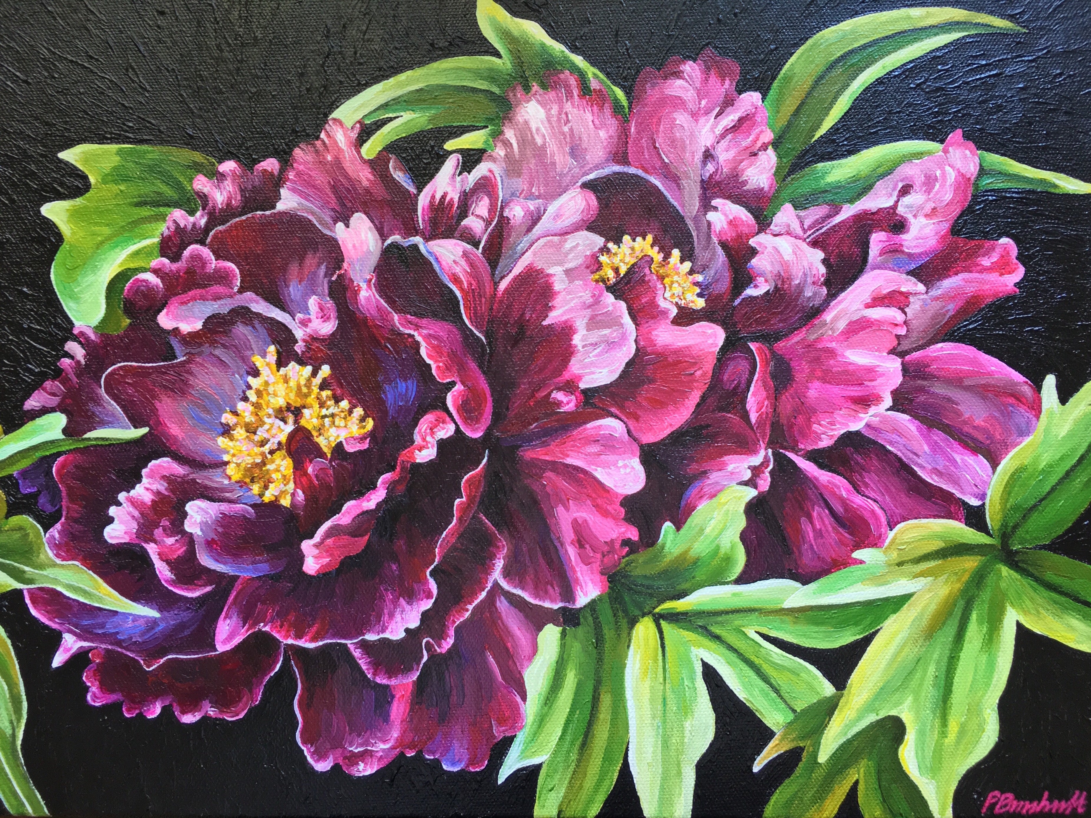 Commission Art Australia Peony Artwork