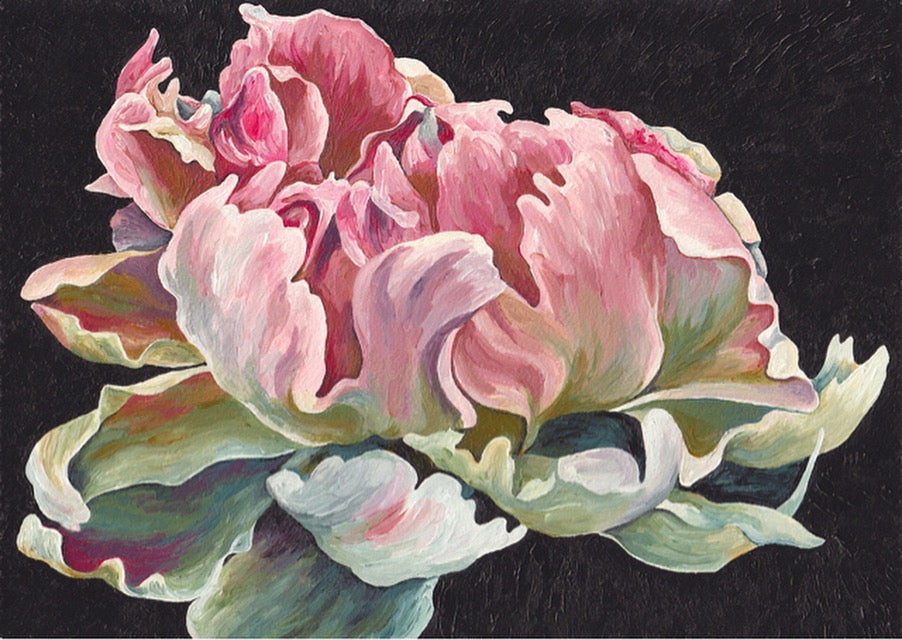 Pink Jitterbug Peony Painting