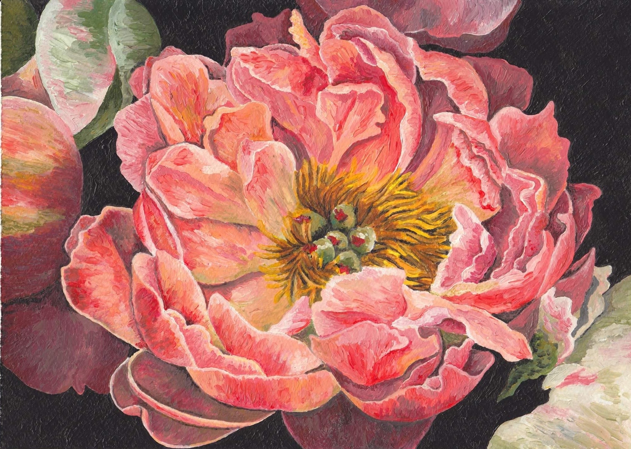 Coral Charm Peony Painting