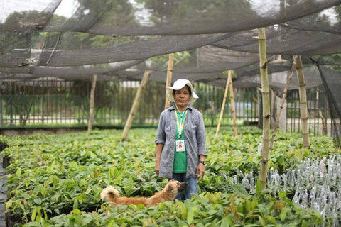 Auro woman farmer partner