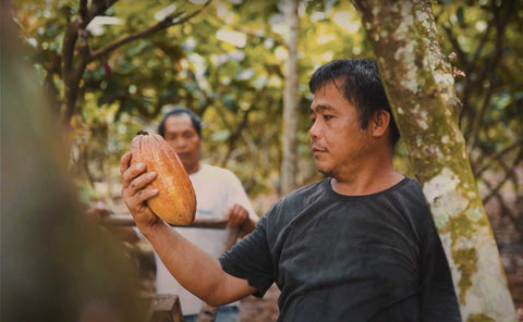 Auro farmer partner sustainable cacao