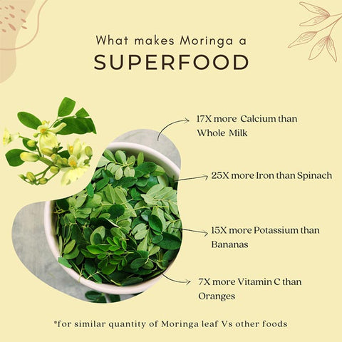 why moringa powder is a superfood.
