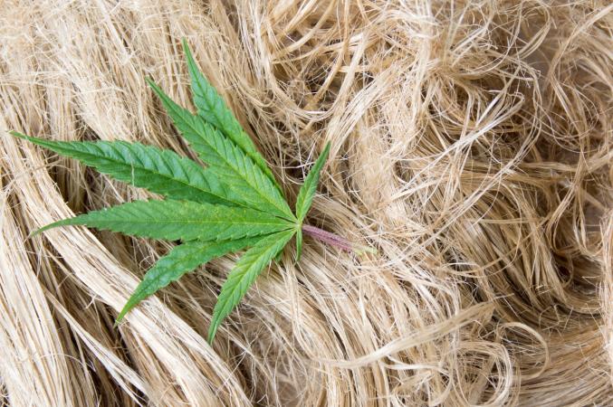 The Advantages and Disadvantages of Hemp Fabric