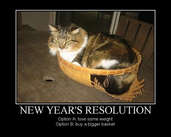 new-year-39-s-resolution-option-a-lose-some-weight-option-b-buy-a-bigger-basket