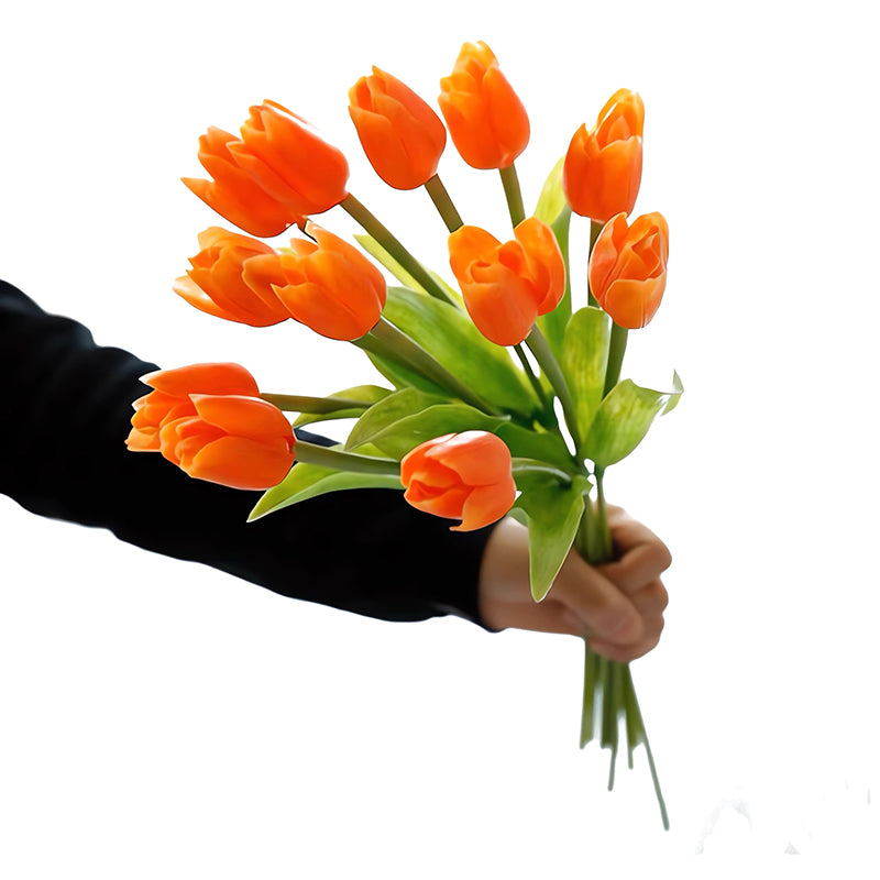 Faux Dutch Tulip Bundle of 12