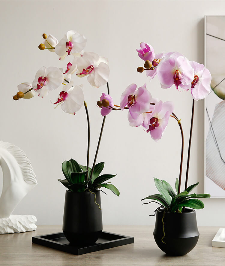 nollipop artificial simulation phalaenopsis orchid flower arrangement centerpiece