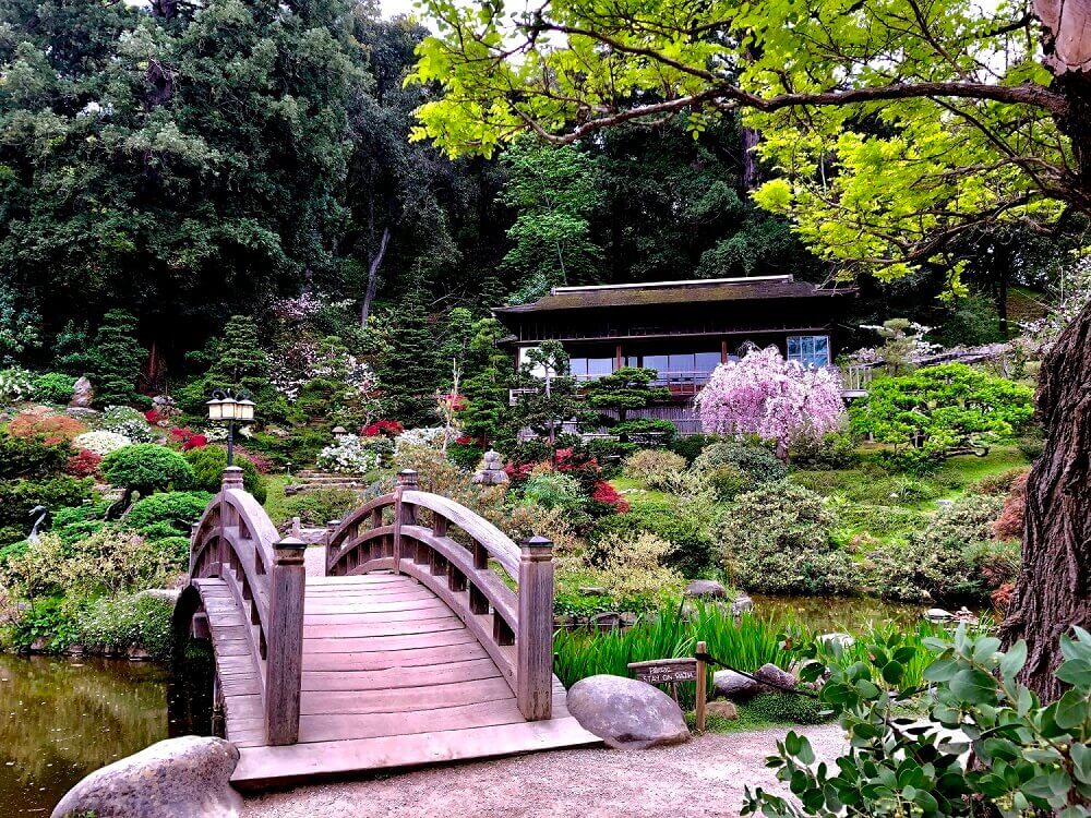 HAKONE FOUNDATION