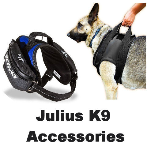Dog Accessories | JULIUSK9® CANADA