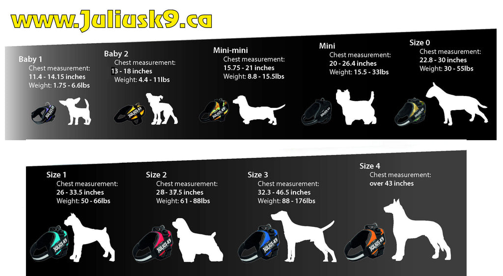 julius harness size guide