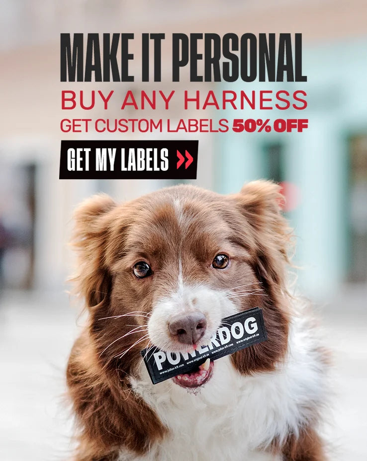 PROMO 02_ Custom Label Deal MOBILE.webp__PID:8bdc11ad-4945-44d4-ab50-02864531e160