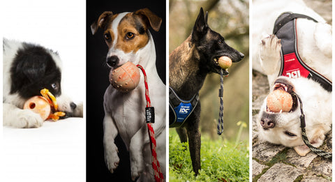 Rubber Training Balls Canada