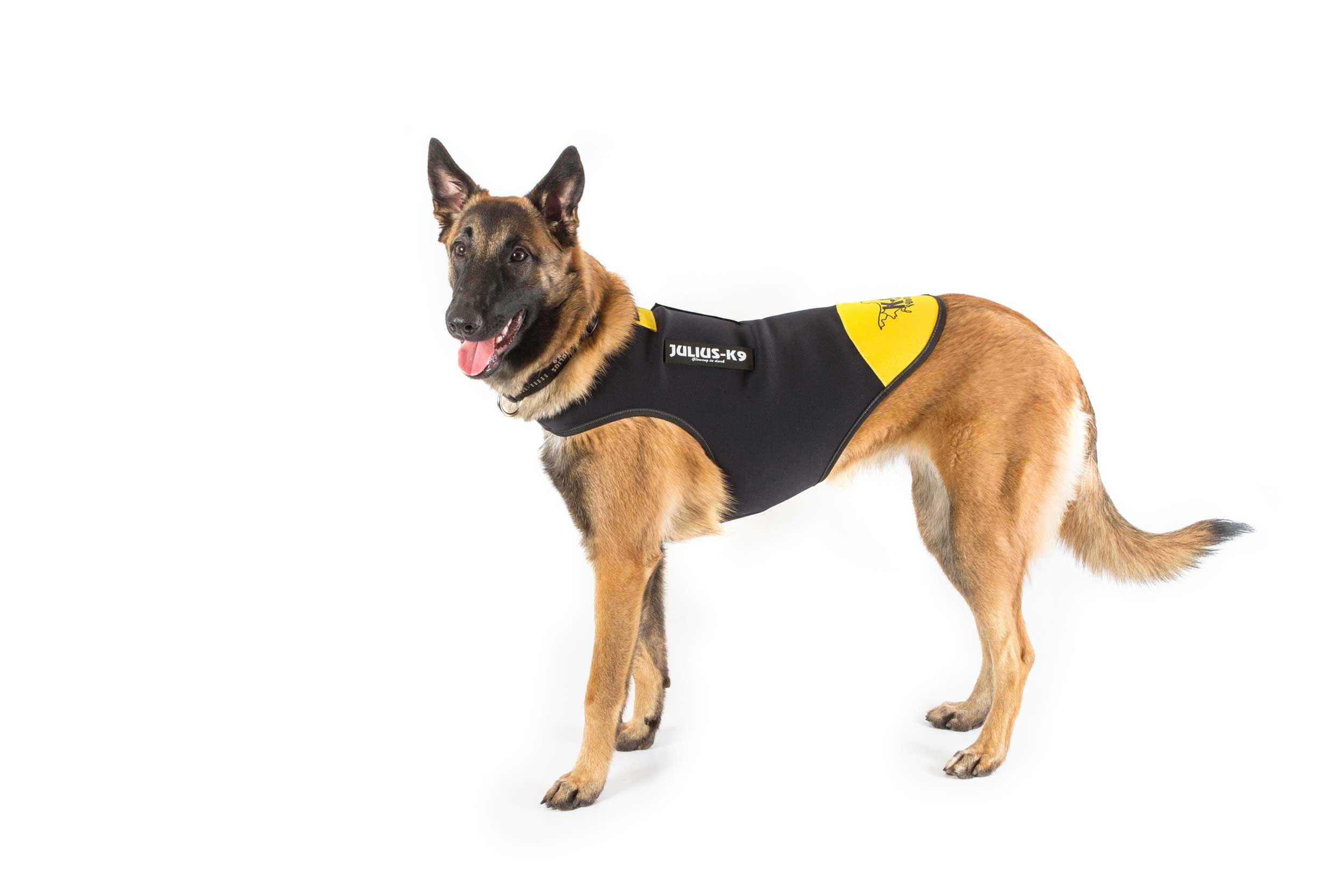 IDC Neoprene Waterproof Dog Vest All Weather Vest JULIUSK9® CANADA