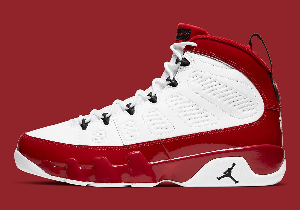 chicago jordan 9