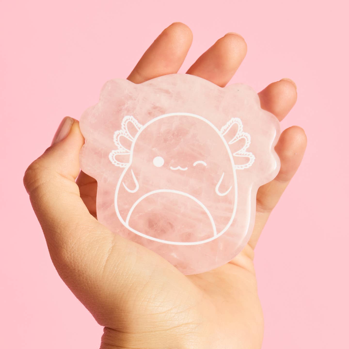 Squishmallows X TONYMOLY Archie Gua Sha