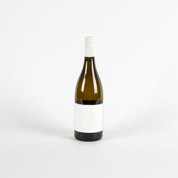 Schodl Gruner Veltliner \