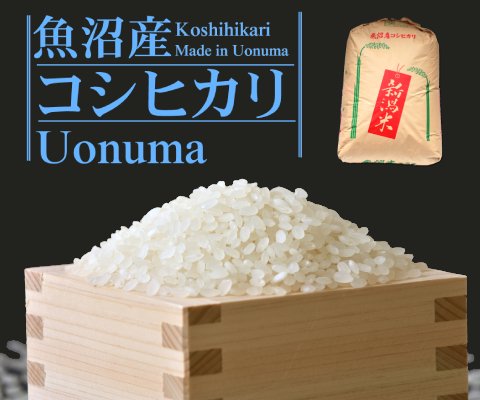 魚沼産コシヒカリ30kg 新潟のお米通販『米杜氏』 – 新潟のお米 通販