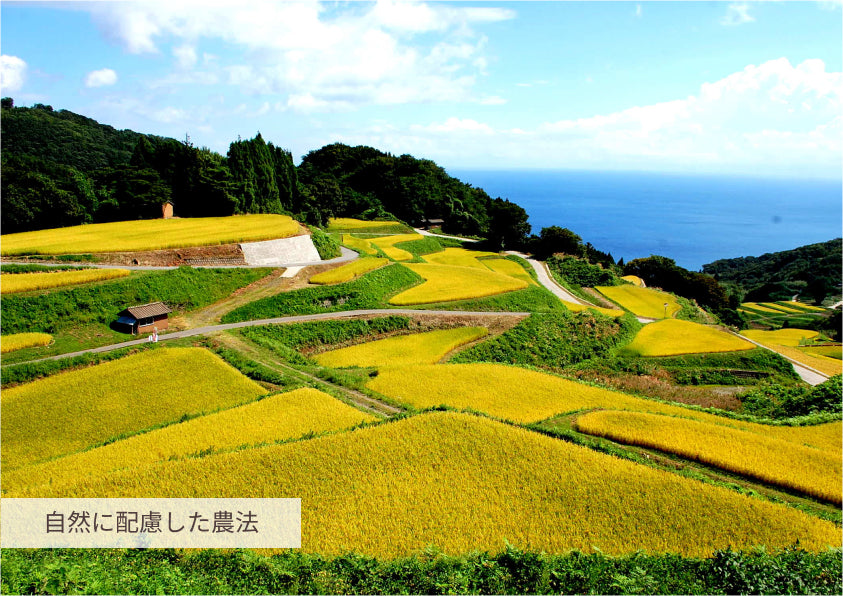 環境に配慮した減農薬農法