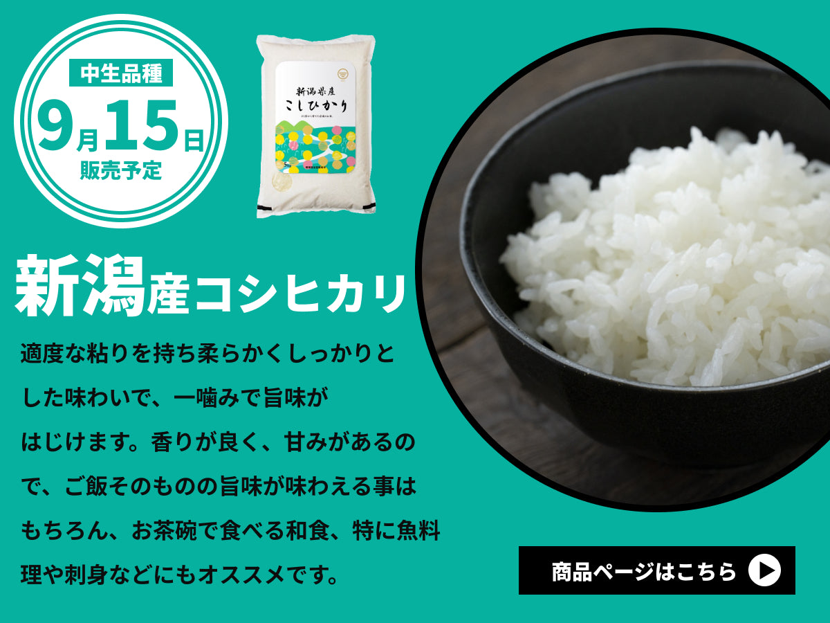 令和5年産新潟産コシヒカリ