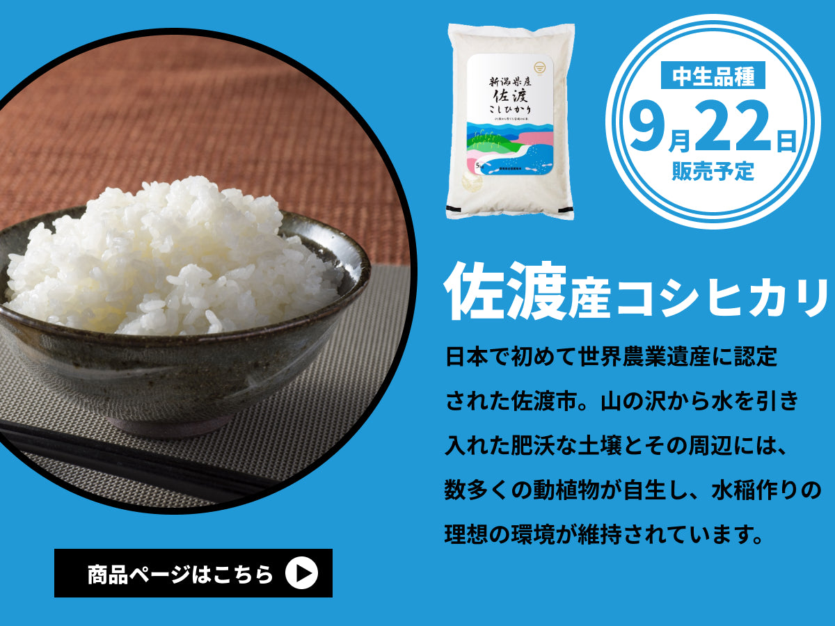 令和5年産佐渡産コシヒカリ