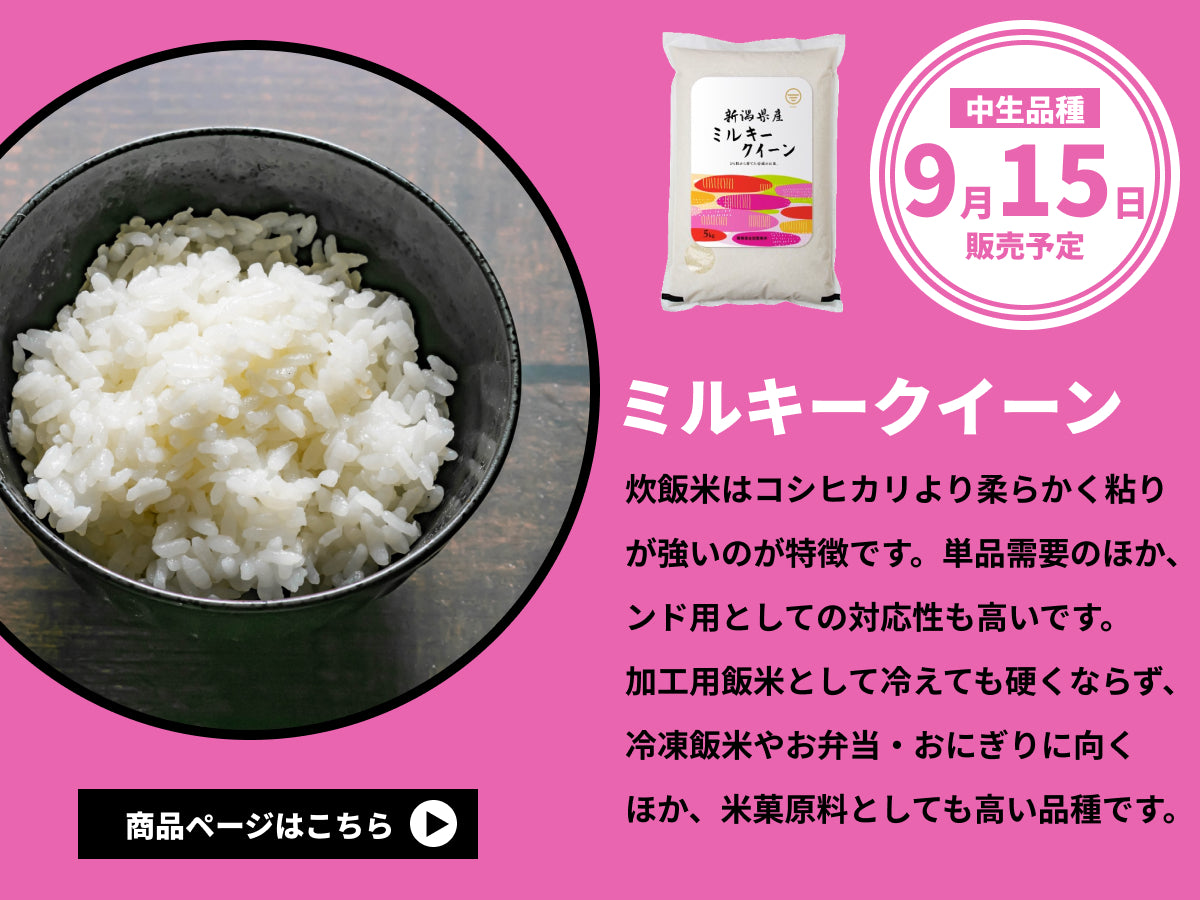 令和5年産新潟産ミルキークイーン