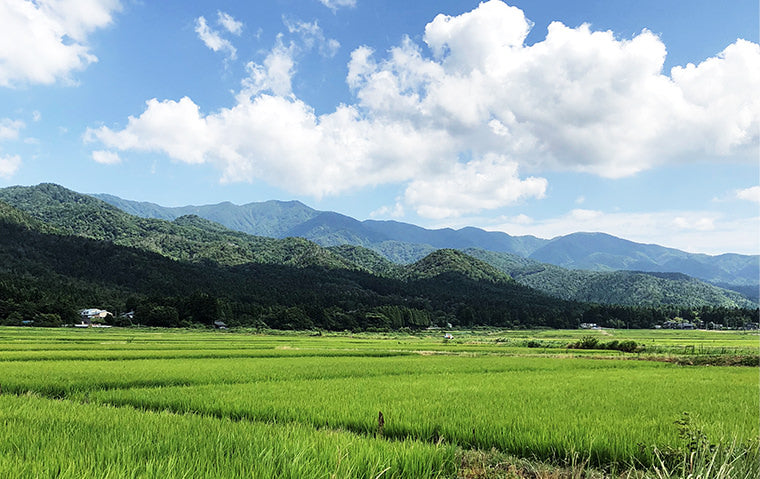 阿賀野市の田園風景