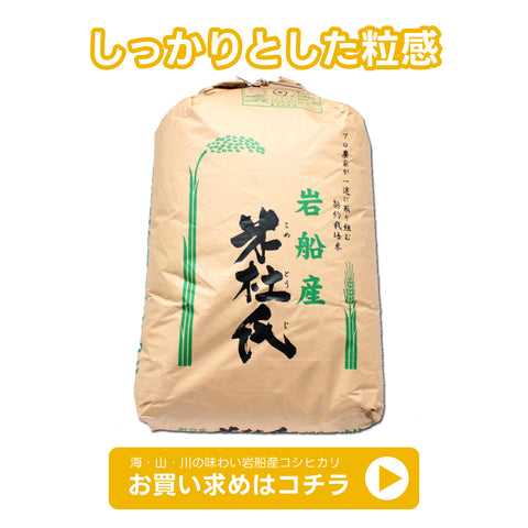 岩船産コシヒカリ30kg