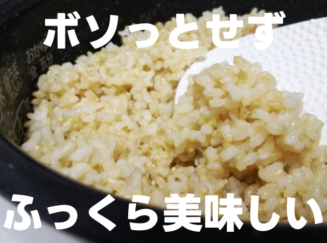 ふっくら炊き上る「玄米食」。