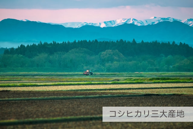 コシヒカリ三大産地岩船の田園風景