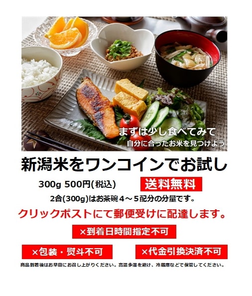 ワンコインお試し米300g