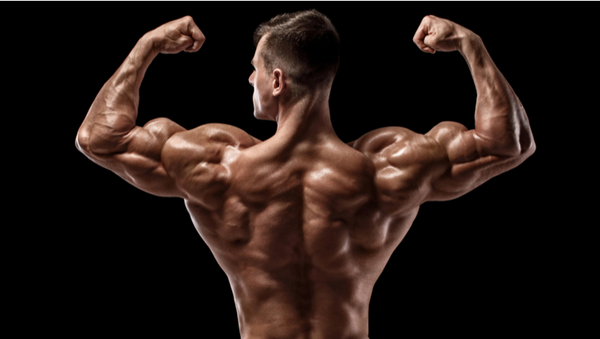 Explore the Reasons Why You Should Take Sarms