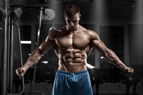 SARMS FOR CUTTING