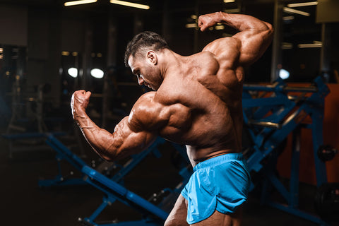 Tips To Maintain Gains After Sarms Cycle