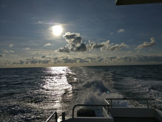 Ebony May Shark Fishing Pic