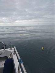 Ebony May Shark Fishing Pic