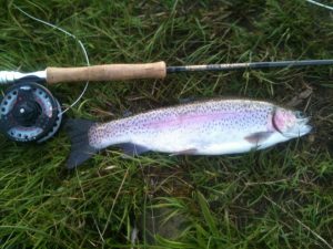 Upper Lliedi Reservoir 3