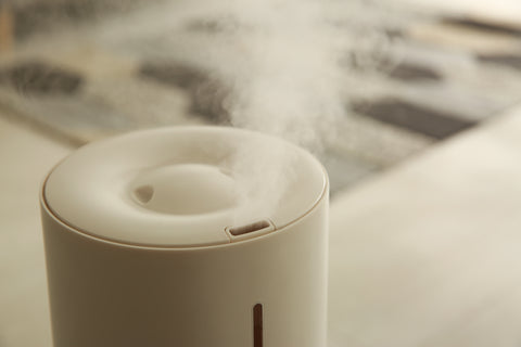 Humidifier with mist