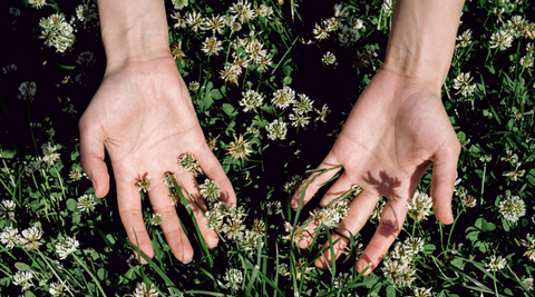 hands holding flowers on grass