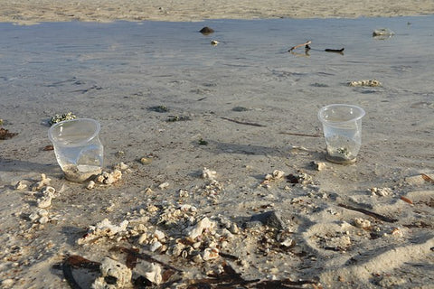 plastic cups on beach, image courtesy of: Øyvind Holmstad
