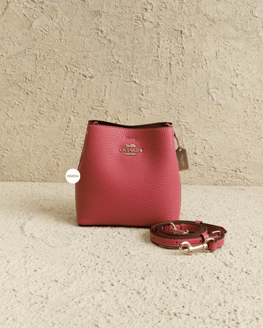 COACH SMALL TOWN BUCKET BAG 1011 IN TAFFY