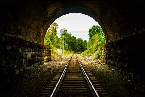 photo of a tunnel and a train track in the tunnel and trees in the opening at the end