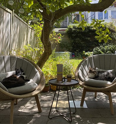 Two lounge chairs from Cane-line with two cats, a side table 