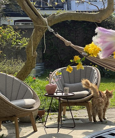 Two sculptural shell lounge chair in natur colour in the garden, a small side table, a orange cat, a tree and rosa flower