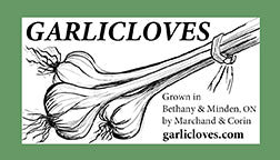 Garlicloves